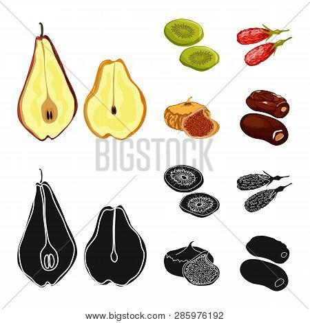 Vector Illustration Of Food  And Raw  Sign. Set Of Food  And Nature   Stock Vector Illustration.