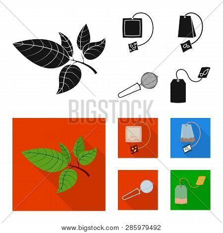 Vector Design Of Healthy And Floral  Sign. Set Of Healthy And Gradient Stock Vector Illustration.