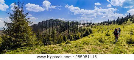 Group Of Tourists Hiking In Carpathian Mountains To The Parashka Mountain, National Park Skolevski B