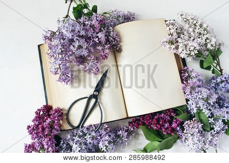 Styled Stock Photo. Spring Feminine Scene, Floral Composition. Decorative Frame Of Beautiful Purple 