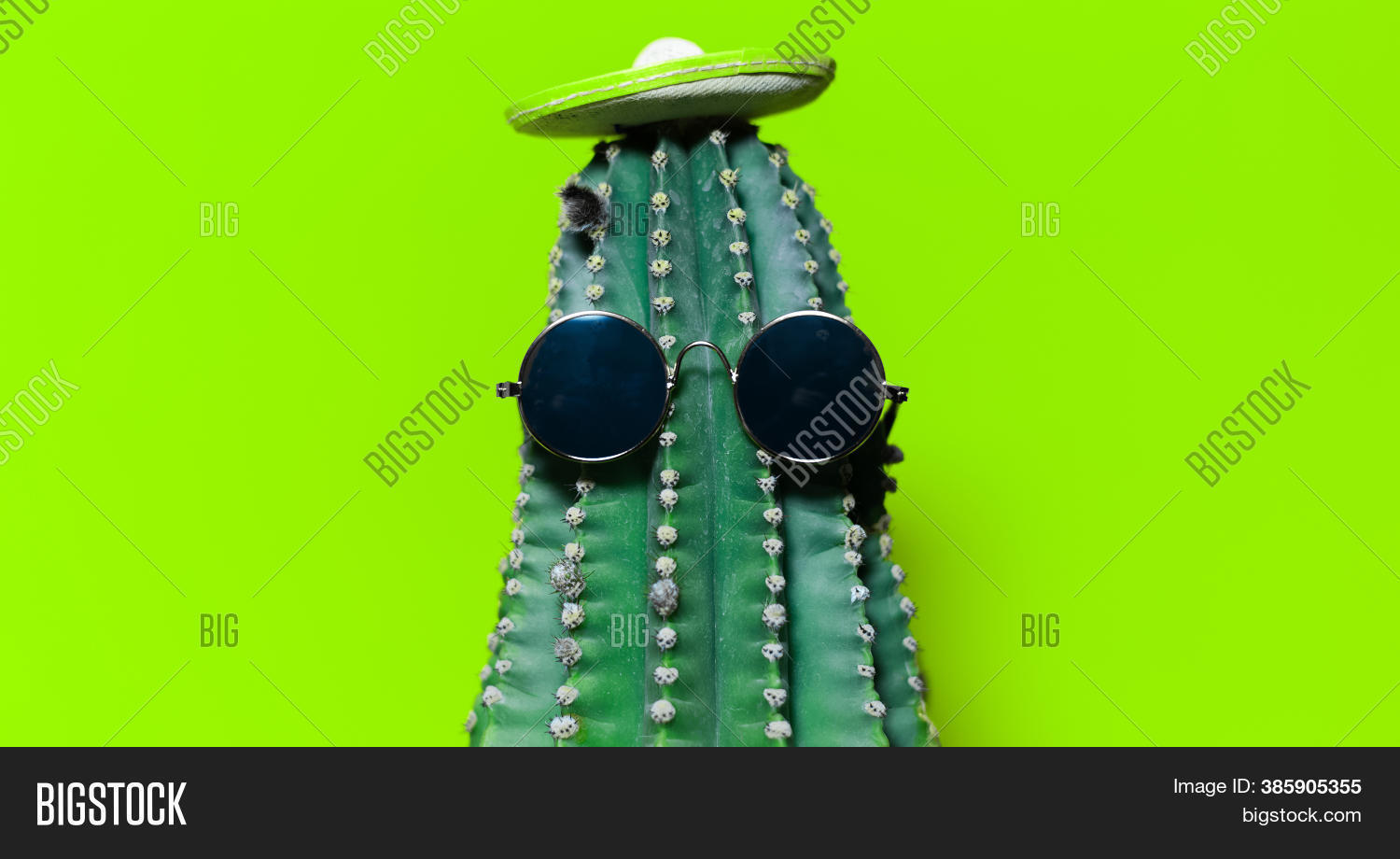 Close- Portrait Cactus Image & Photo (Free Trial) | Bigstock