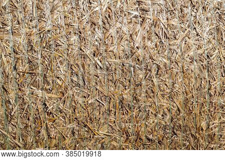 The Background Is From A Dry Compressed Into A Roll Of Grass.