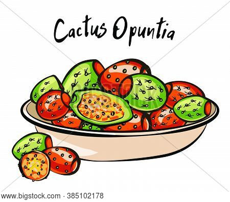 Set Of Banners With Hand Drawn Prickly Pear, Sketch Style Vector Illustration Isolated On White Back