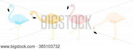 Group Of Colorful Flamingo In Different Poses Cartoon Vector Illustration Isolated On White. Blue, O