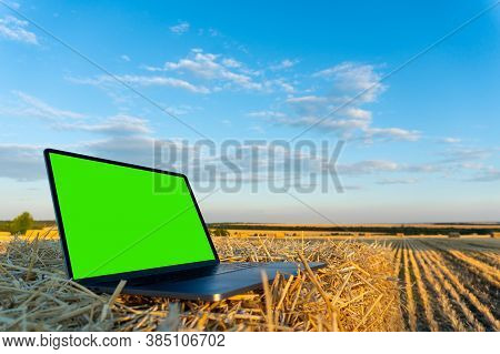 Laptop In The Autumn Field With Green Chromakey Screen