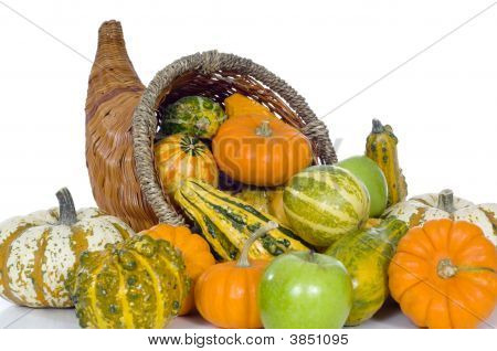 Raccolto Cornucopia