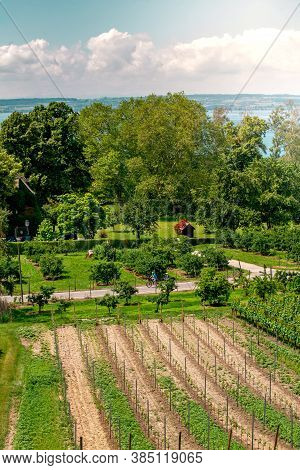 Curtural Landscape With Fruit Plantation Near Hagnau At Lake Constance (germany)