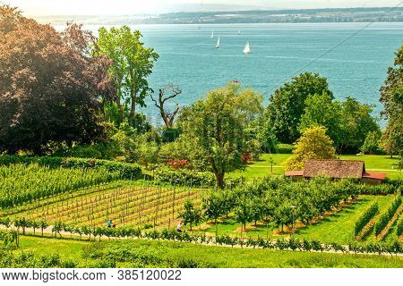 Curtural Landscape With Fruit Plantation Near Hagnau At Lake Constance (germany)