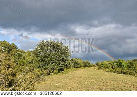 Rainbow In A Green Landscape In Summer Season
