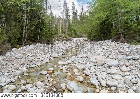 Waksmundzki Stream In Tatra National Park, Poland.