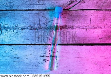 A Plant Stem In The Test Tube In The Lights Of Phyto Lamp Concept.