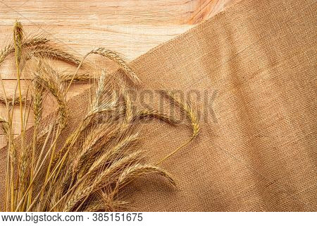 Grains Isolated. Whole, Barley, Harvest Wheat Sprouts. Wheat Grain Ear Or Rye Spike Plant On Linen T