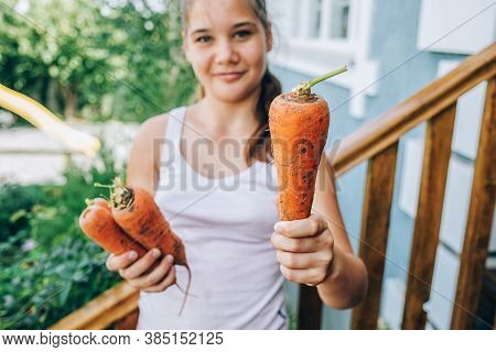 Girl Holding A Carrot In Her Hands. Harvesting, Healthy Eating