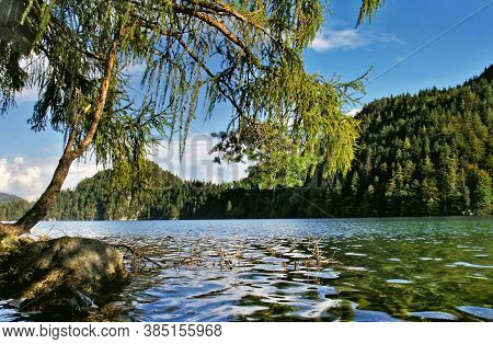 Panorama Lake With Pine Tree And Forest Hills On Sunny Day. Hintersteiner See Is A Mountain Lake In 