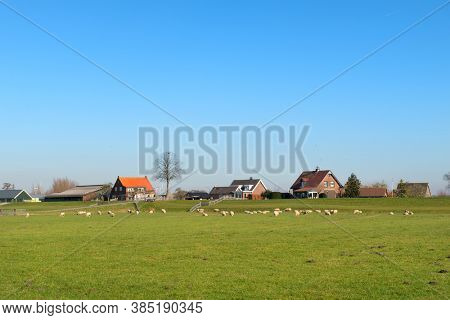 Typical Dutch landscape in Polder at village Eemdijk
