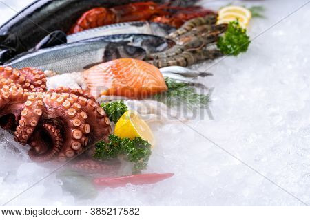 Side view of variety of fresh luxury seafood, Lobster salmon mackerel crayfish prawn octopus mussel and scallop, on ice background with icy smoke in seafood market.  Photo With Copy space.
