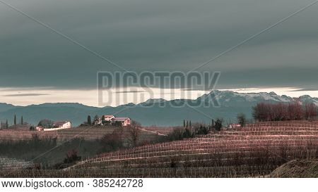 Cold Misty Morning In The Vineyards Of Italy