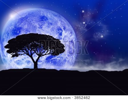 Espace paysage