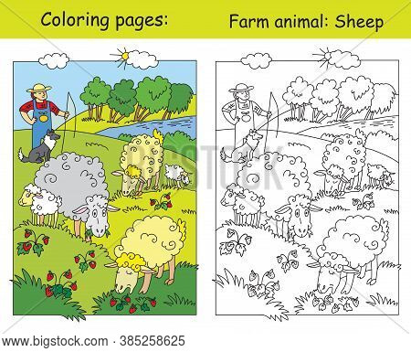 Coloring Pages With Cute Sheeps Gracing On Meadow And Shepherd With His Dog. Cartoon Vector Illustra