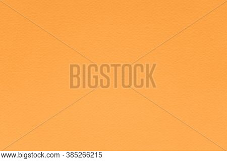 Texture Marigold Image Photo Free Trial Bigstock