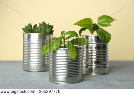 Beautiful Houseplants In Tin Cans On Light Grey Wooden Table, Closeup