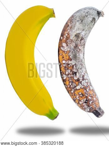Banana And Rootten Banana Isolated On White Background