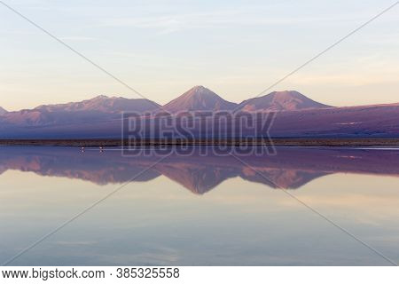 Chaxa Lagoon At Sunset In North Of Chile