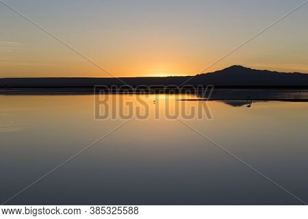 Chaxa Lagoon At Sunset