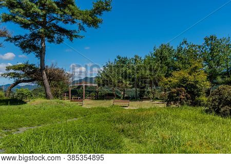 Wooden Park Benches And Gazebo In Treed Rural Park Under Blue Sky.