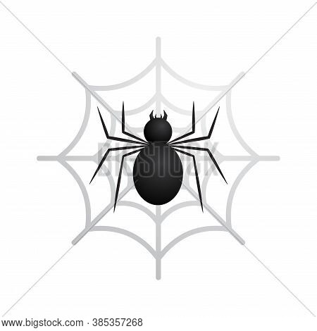 Black Spider In Web Vector Illustration Isolated On White Background. Suitable For T-shirt Design Or