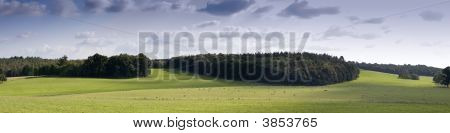 Ragley Hall