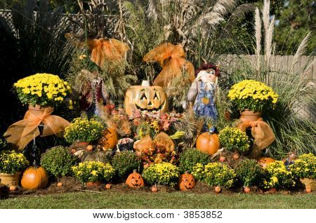 Exposição jardim de outono
