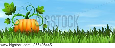 Halloween Pumpkin On The Grass By Beautiful Day - 3d Render