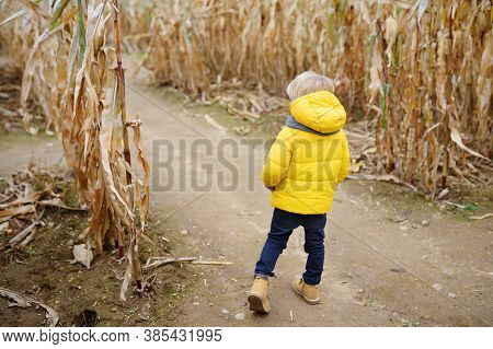 Preschooler Child Walking Among The Dried Corn Stalks In A Corn Maze. Traditional Fall Amusement On 