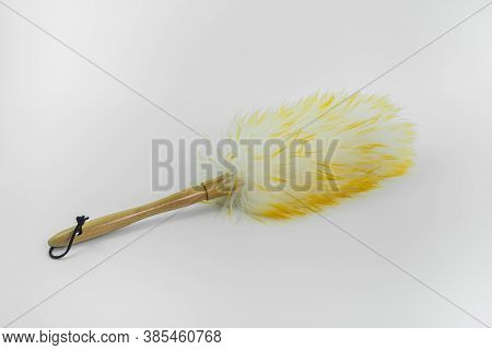 Close Up Of Feather Duster Isolated On White Background