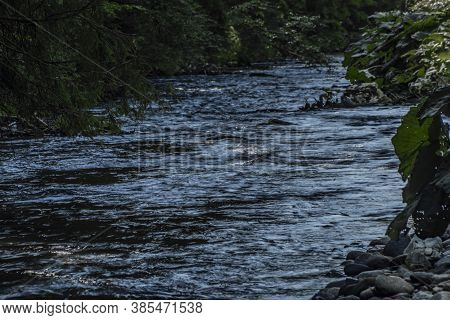 Biely Vah River Near Vychodna Village In Summer Day In Slovakia