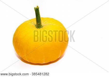 Yellow Pumpkin Protein Isolate . Seasonal Autumn Vegetable. Halloween. Article About Pumpkins And Th