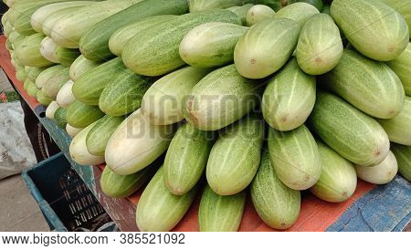 Testy And Healthy Fresh Cucumber On Tree And Cucumber Stock