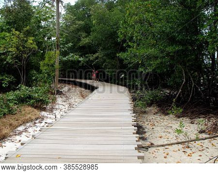 Pulau Ubin, Singapore, March 5, 2016: Tourists On One Of The Walkways That Run Through The Mangroves