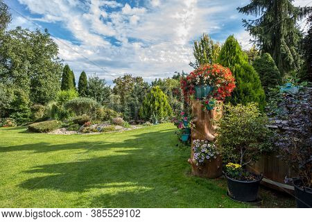 Flower Pots Installed On Tree Trunk, Summer Garden With Flowers Begonia Boliviensis And Petunia Surf