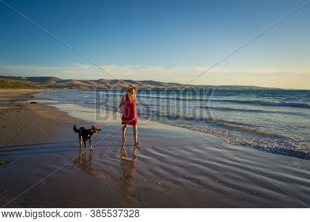 Happy Attractive Mature Woman With Her Pet Walking On Friendly Dog Beach At Sunset