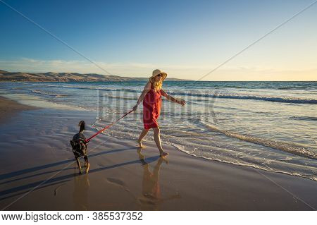 Happy Attractive Mature Woman With Her Pet Walking On Friendly Dog Beach At Sunset