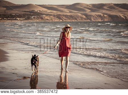 Happy Attractive Mature Woman With Her Pet Walking On Friendly Dog Beach At Sunset