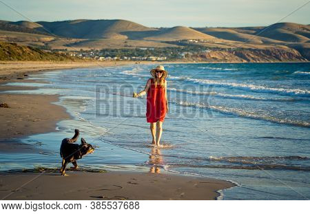 Happy Attractive Mature Woman With Her Pet Walking On Friendly Dog Beach At Sunset