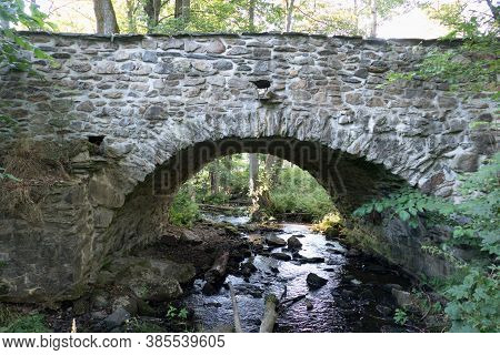 Stream In The Wood In Central Europe