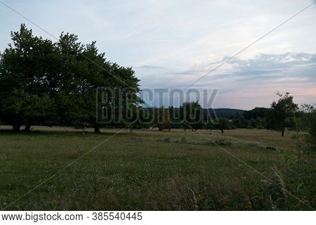 Czech Agricultural Landscape In Countryside
