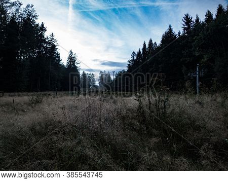 Czech Agricultural Landscape In Countryside