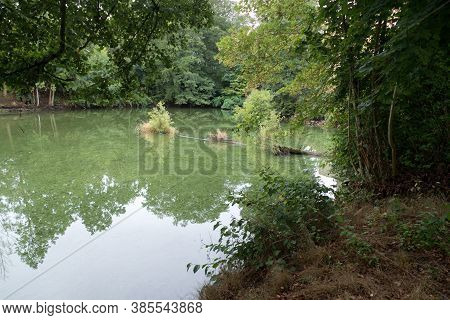 Stream In The Wood In Central Europe