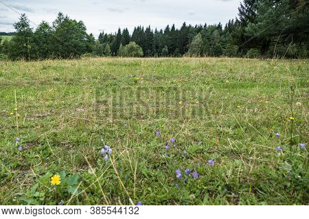 Czech Agricultural Landscape In Countryside