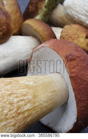 Boletus Mushrooms Prepared For Cooking. Boletus On A Black Background. Boletus Edulis. Closeup
